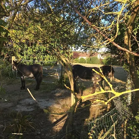 Et Marais Appartamento *