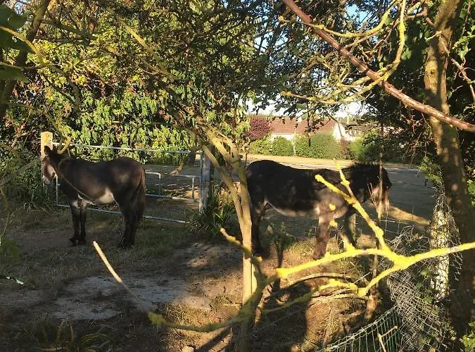 Et Marais アパート *